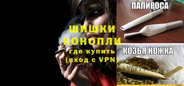 прущие крисы Каменка